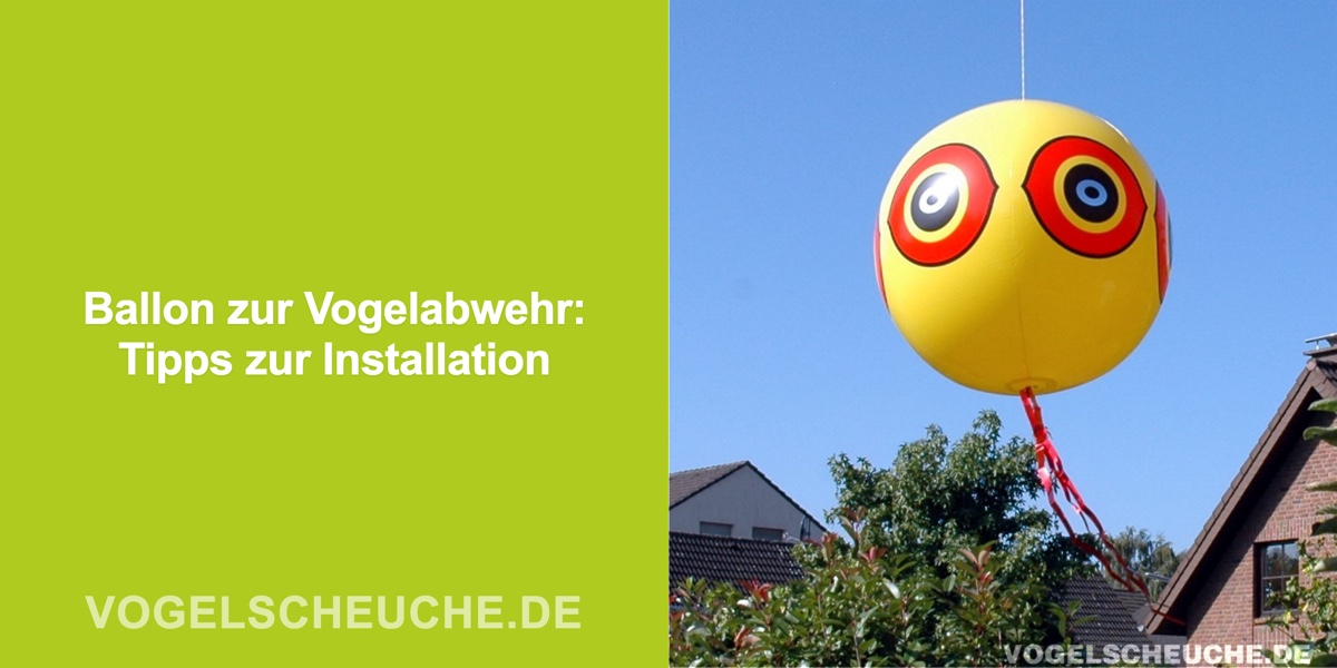 Ballon zur Vogelabwehr: Tipps zur Installation