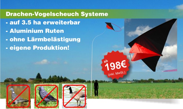 vogelscheuchen-drachen