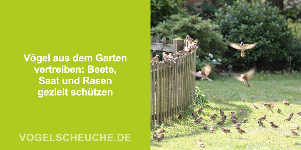 Vögel vertreiben Garten