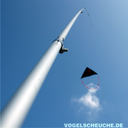 Vogelscheuchen Drachen 2,5 ha ECO-System