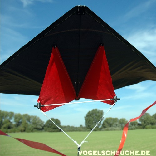 Der Drachen im Flug mit sichtbarem Doppelkiel, über einer grünen Wiese.