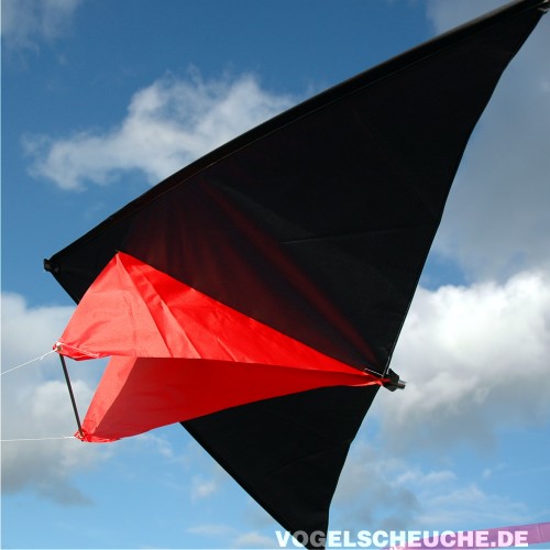Nahaufnahme des Drachens im Flug vor bewölktem Himmel, Unterseite mit roter Fläche sichtbar.