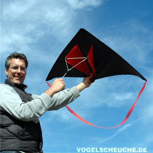 Eine Person hält den startbereiten Drachen des STANDARD Systems in der Hand, bevor er in den Wind gelassen wird.