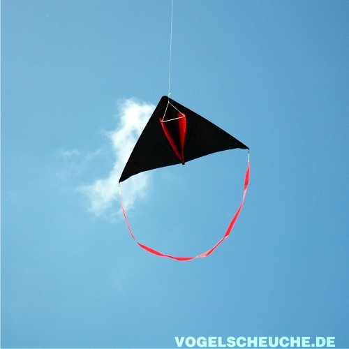 Nahaufnahme des Drachens im Flug, klein vor dem Himmel.