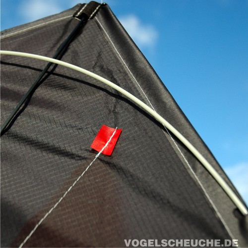 Der Drachen im Flug, das Kohlefaser-Gestänge im Gegenlicht sichtbar.