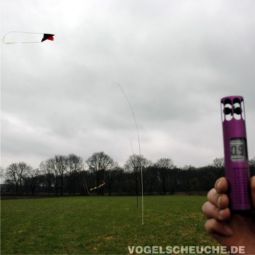 Der Drachen steigt über einer freien Wiese auf, eine Person hält die Teleskoprute im Hintergrund.