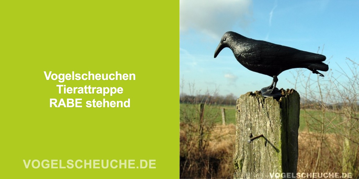 Vogelscheuchen Tierattrappe RABE stehend — Banner